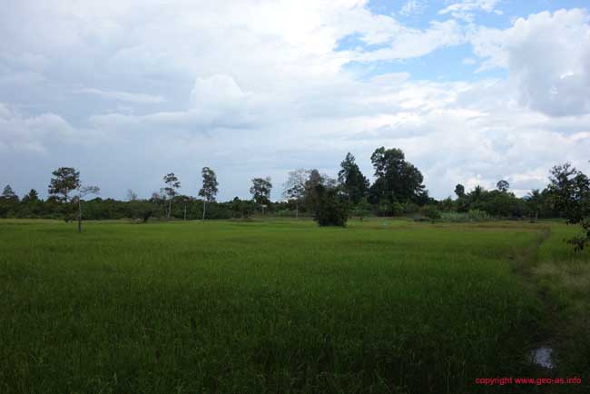 DSC07576