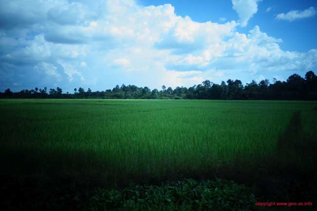 DSC07588
