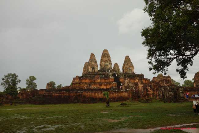 DSC08065