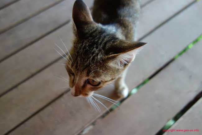 DSC08100