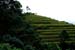 DSC04624